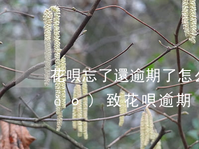 花唄忘了還逾期了怎么辦啊，忘記還款導(dǎo)致花唄逾期？教你如何解決！